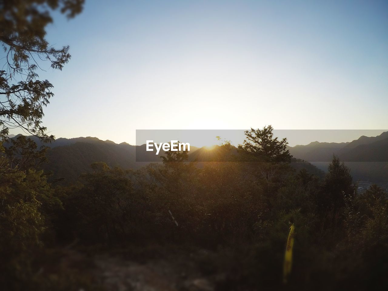 SCENIC VIEW OF LANDSCAPE AGAINST CLEAR SKY