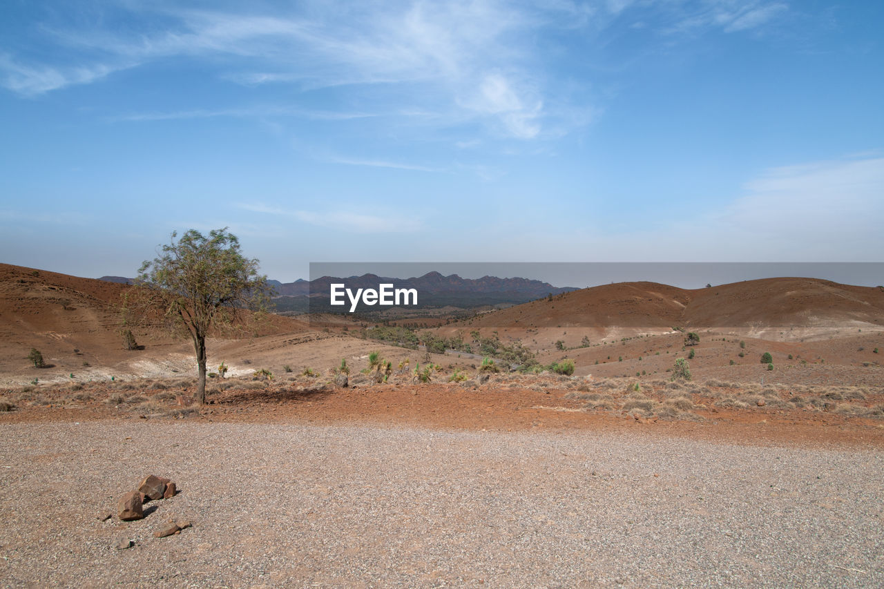 Scenic view of desert against sky