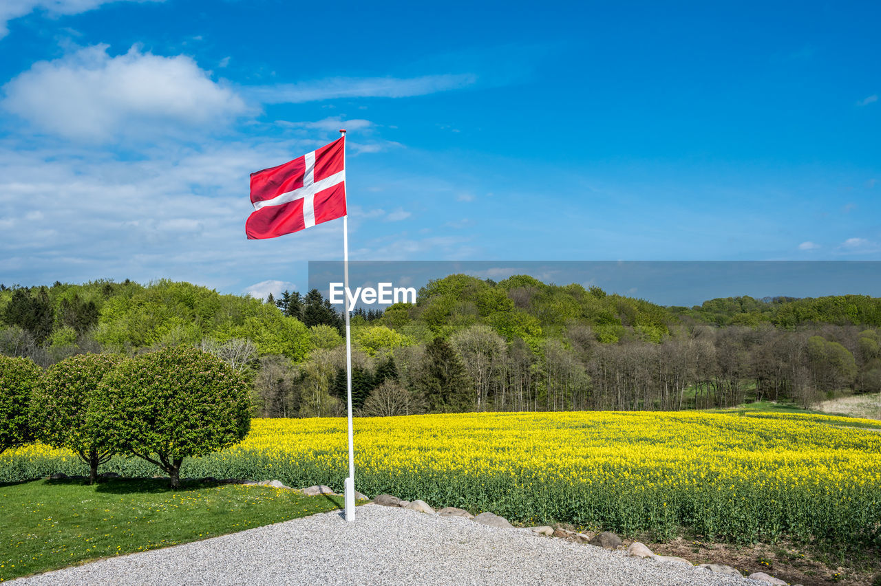 plant, flag, sky, nature, environment, tree, landscape, no people, flower, patriotism, red, land, beauty in nature, day, scenics - nature, cloud, rural scene, tranquility, blue, field, outdoors, green, tranquil scene, grass, rural area, growth, rapeseed, sunlight, road, yellow, sunny