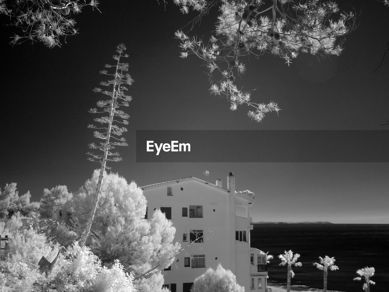 Infrared image of trees and building in city