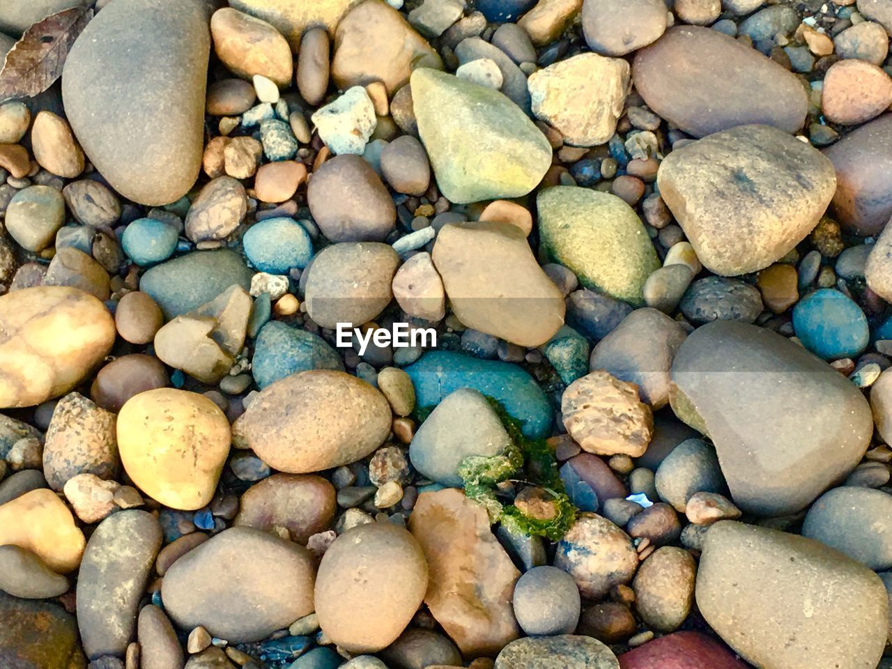 FULL FRAME SHOT OF PEBBLES ON SHORE