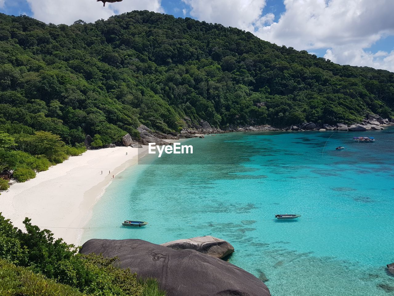 SCENIC VIEW OF SEA BY TREES AGAINST SKY