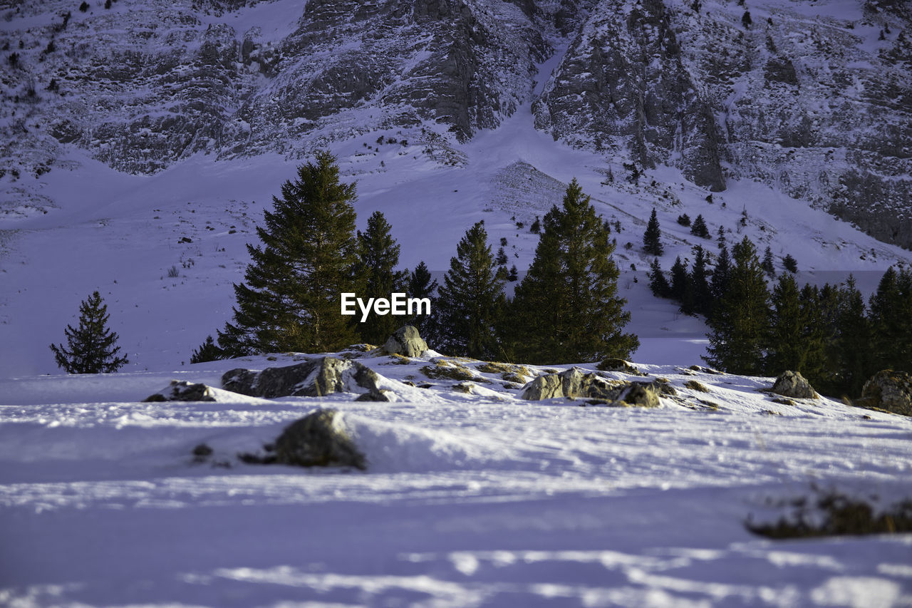 Scenic view of snow covered mountain