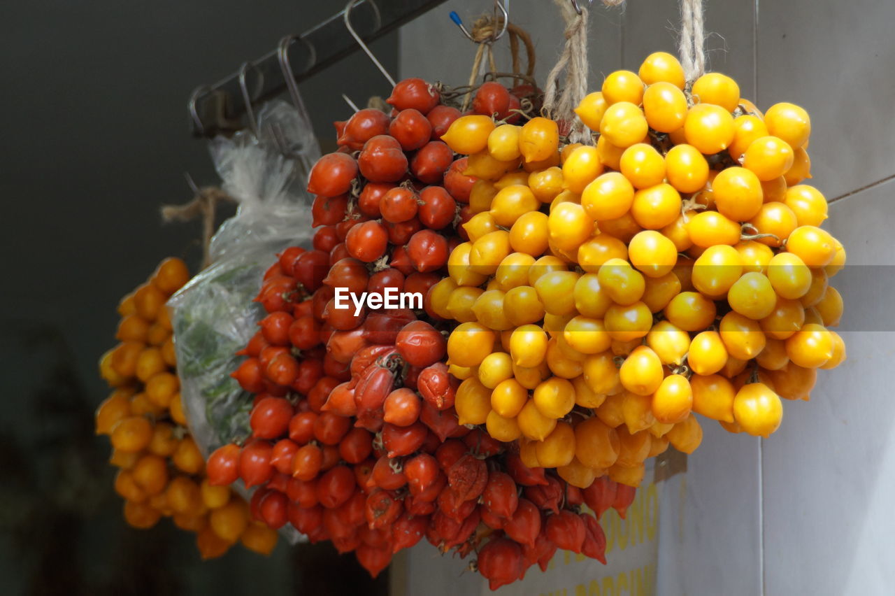 CLOSE-UP OF ORANGE FRUITS HANGING ON PLATE