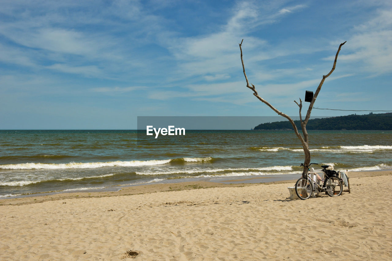 Scenic view of beach with old tree and bicycle against sky