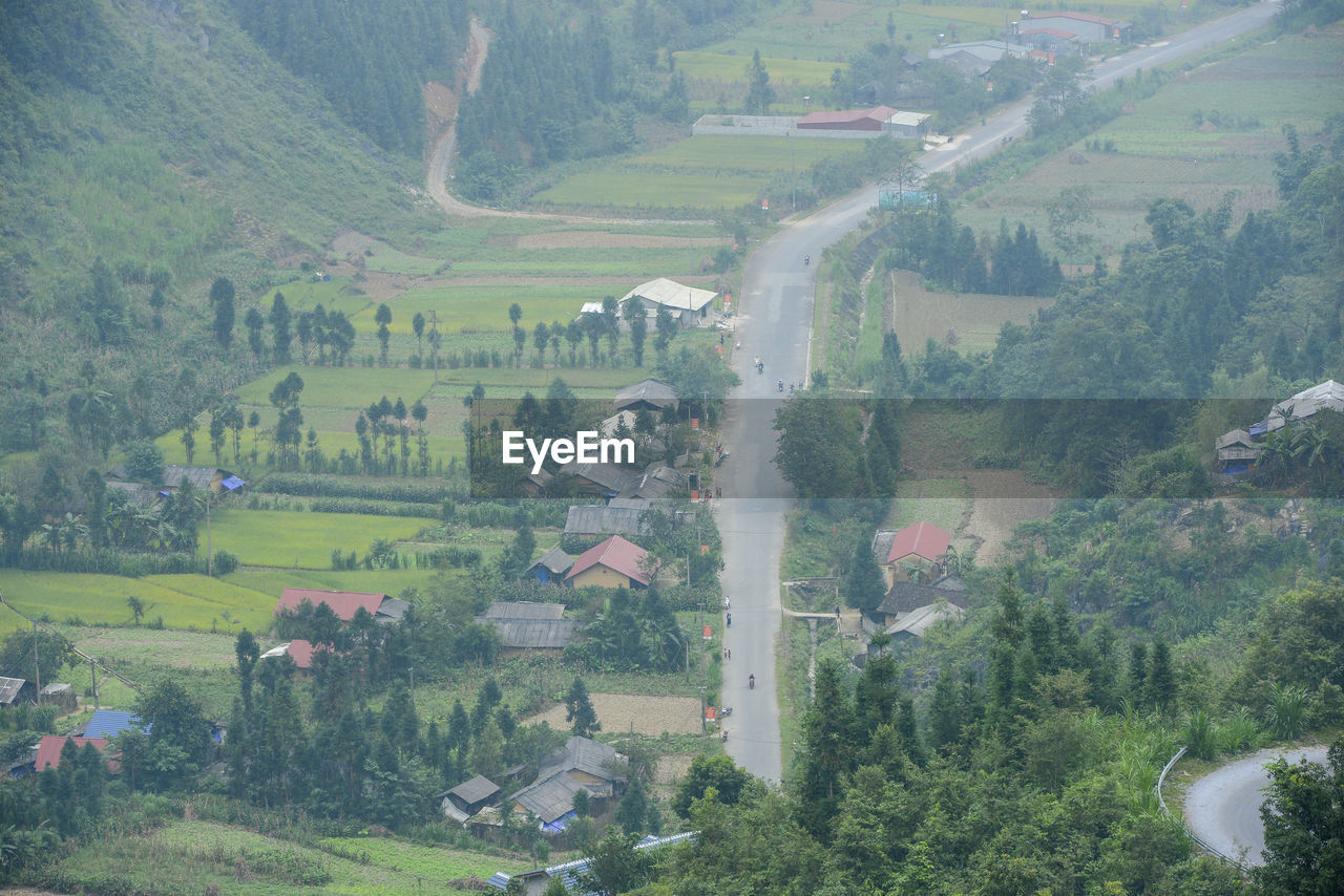 High angle view of trees and buildings