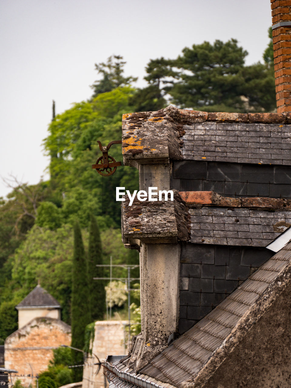 architecture, built structure, building exterior, tree, history, nature, plant, building, no people, the past, wall, ruins, house, travel destinations, ancient history, roof, sky, outdoors, day, travel, religion, tourism, old, ancient, stone material, temple, tradition
