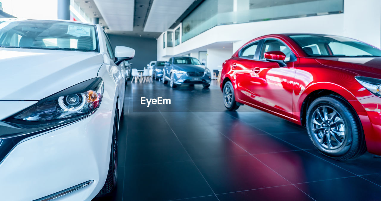 White car parked in luxury showroom. car dealership office. new car parked in modern showroom. car