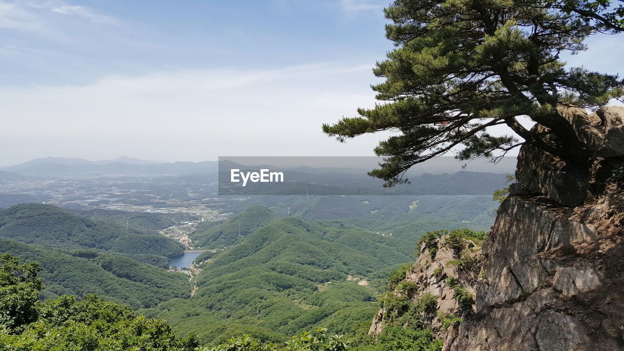 Scenic view of tree mountains against sky