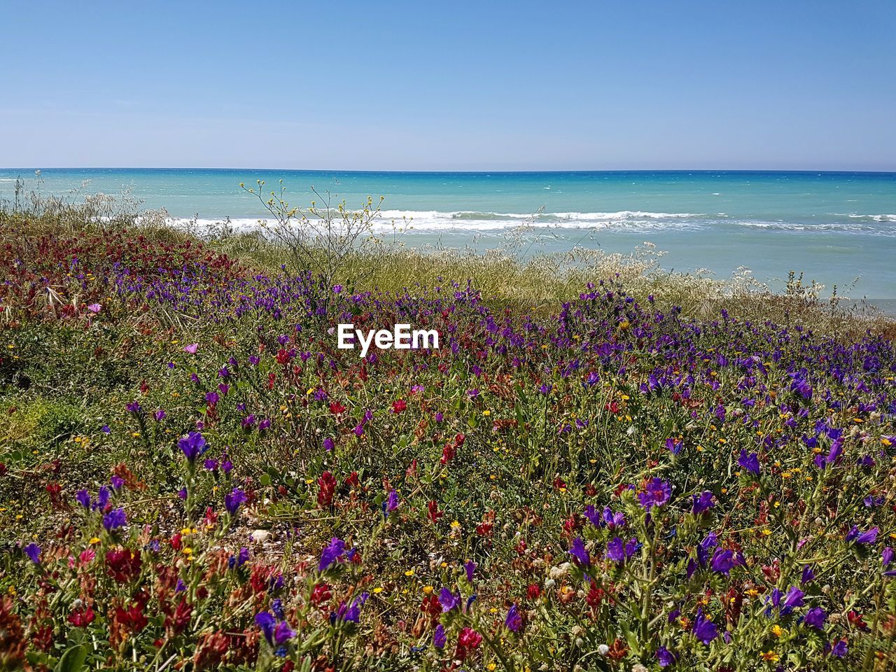 Scenic view of sea against clear sky