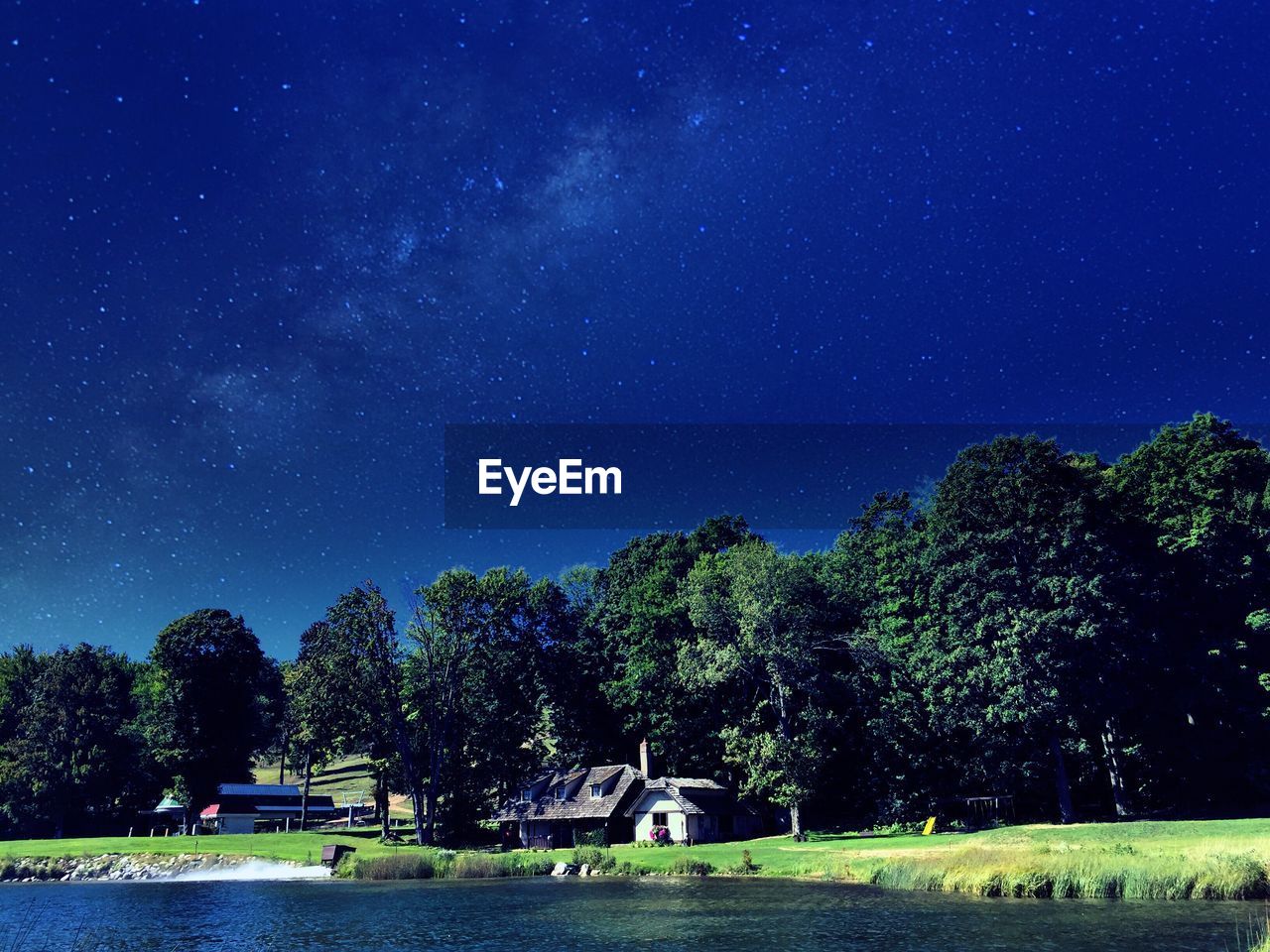 TREES ON FIELD AT NIGHT