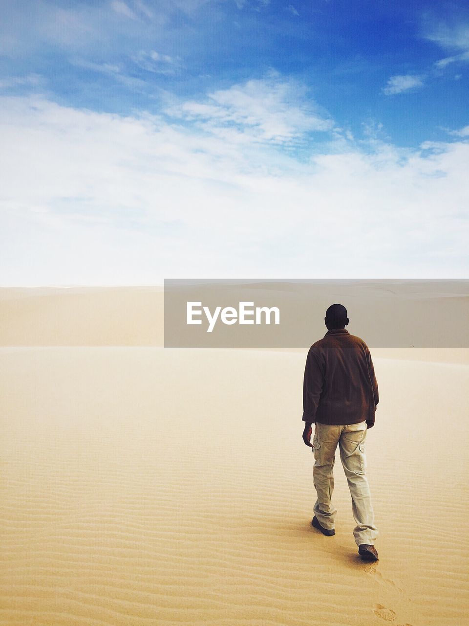 Rear view of man walking in desert