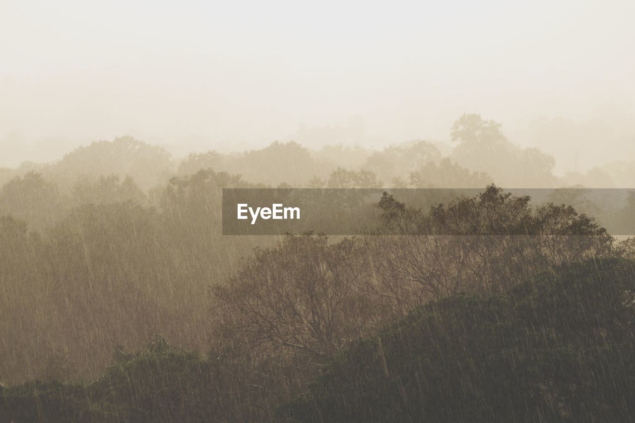 Trees on landscape against sky during foggy weather