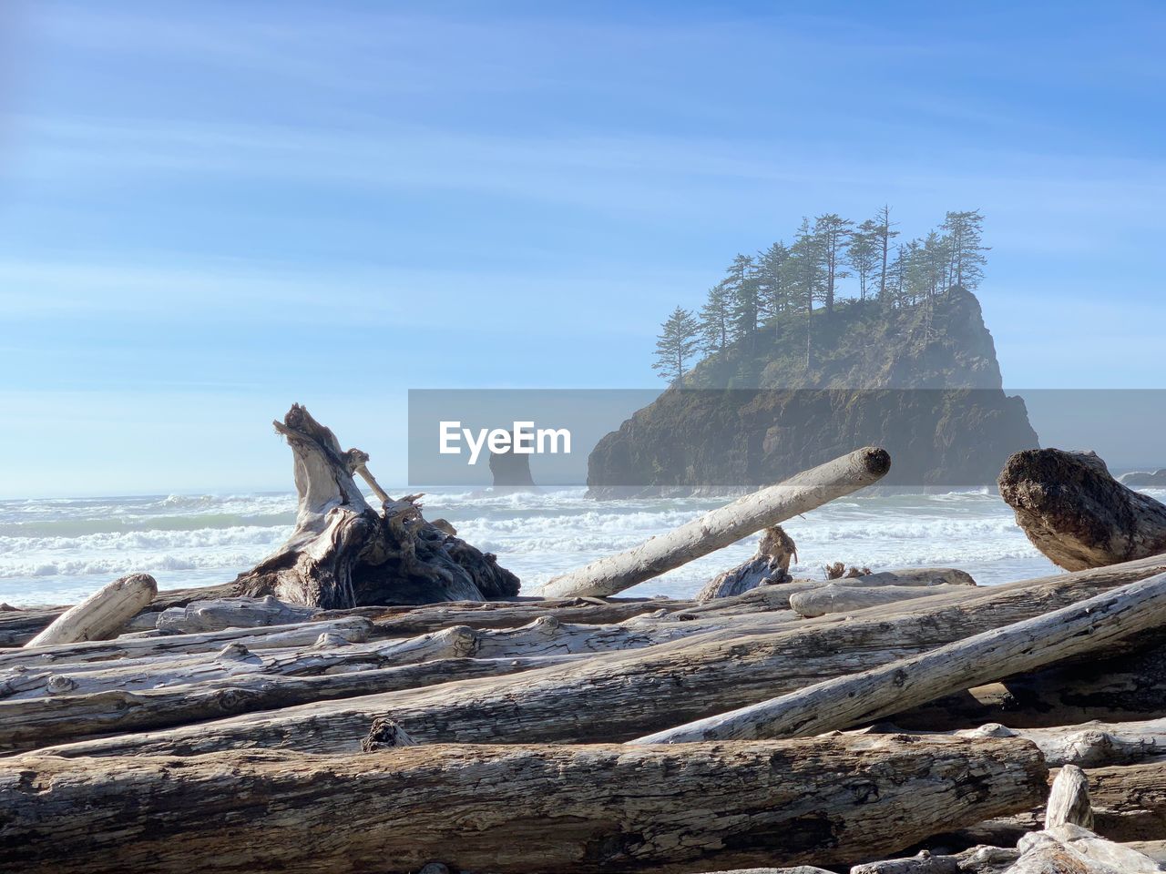 Driftwood on beach against sky