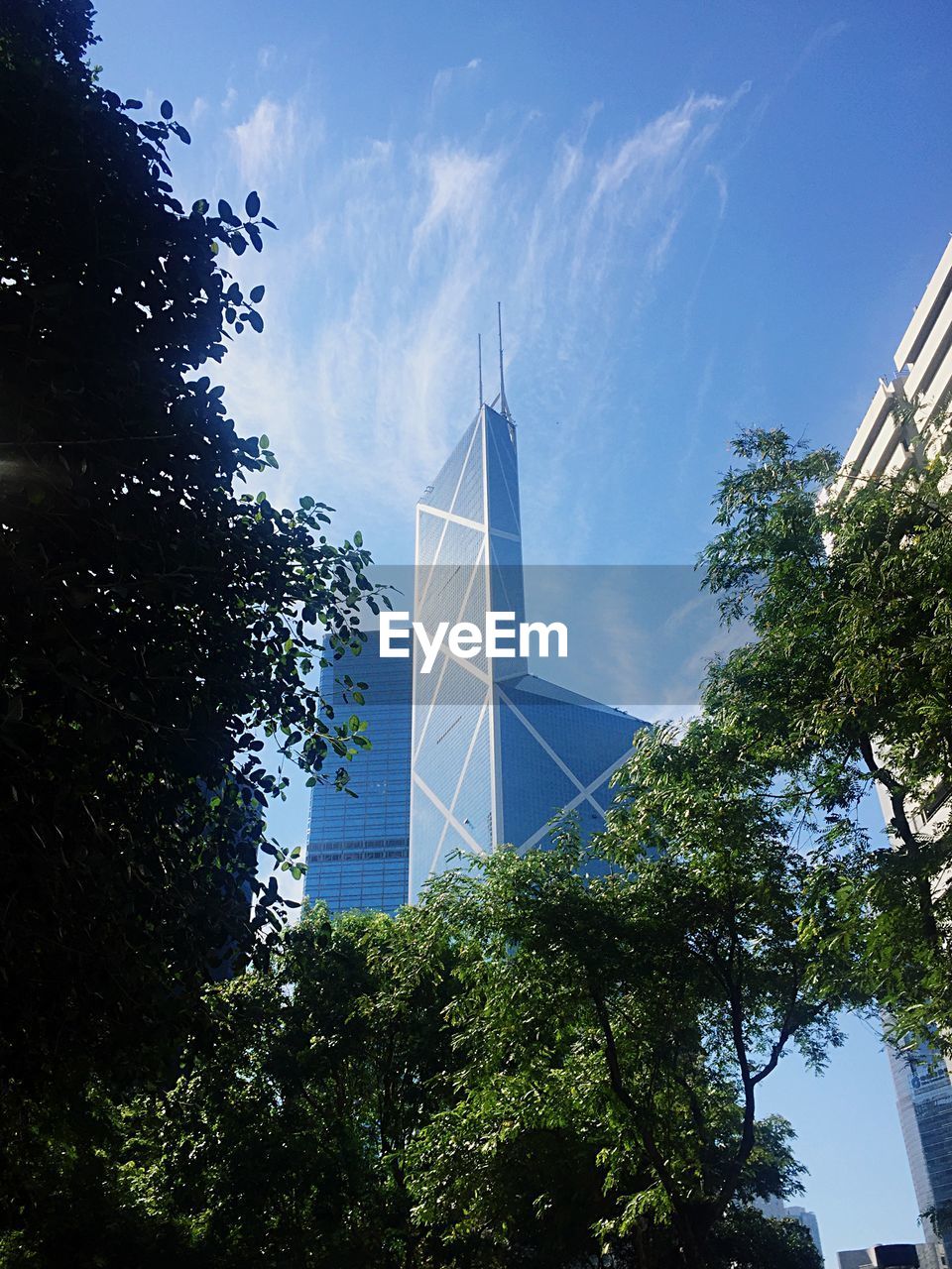 LOW ANGLE VIEW OF TREES AND BUILDING AGAINST SKY