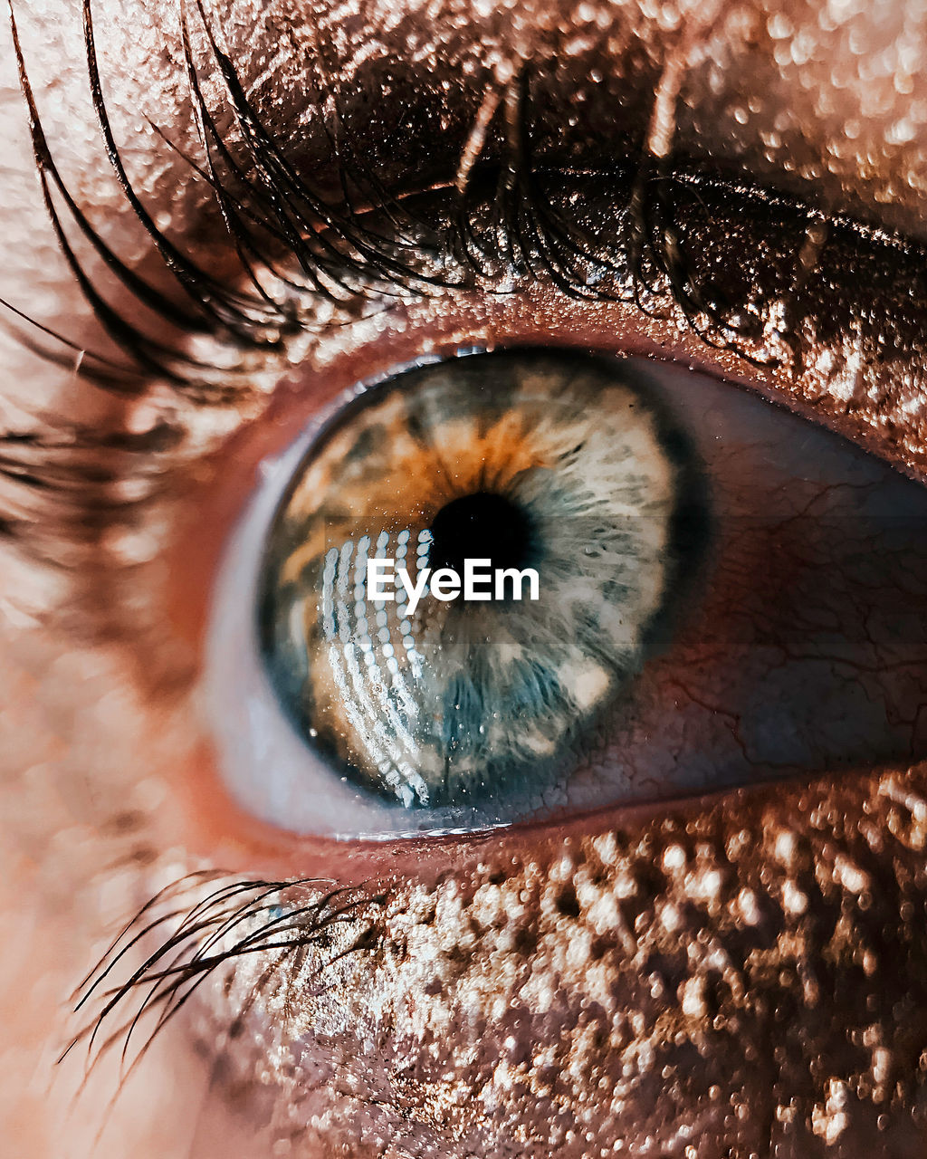 Extreme close-up of woman eye