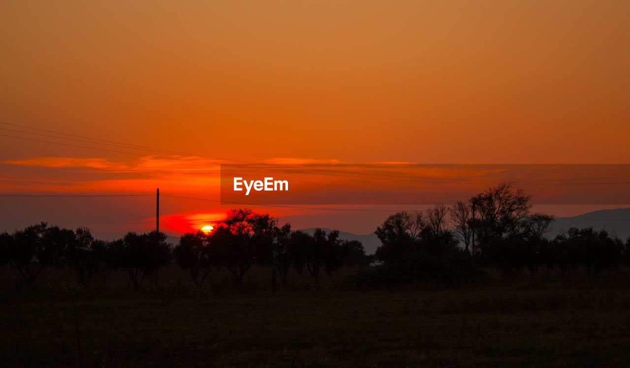 SILHOUETTE TREES ON FIELD AGAINST SKY AT SUNSET