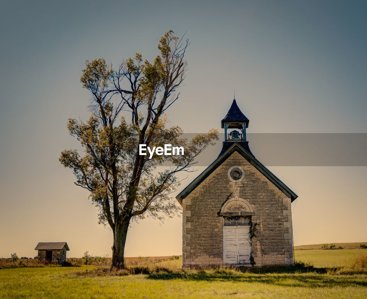 Low angle view of church and trees on grassy field against sky during sunny day