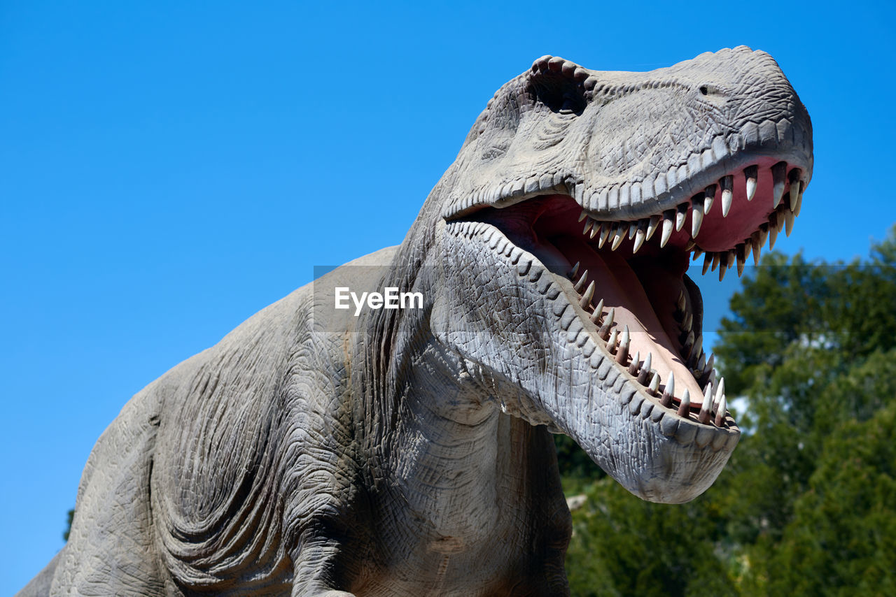 LOW ANGLE VIEW OF HORSE AGAINST CLEAR BLUE SKY