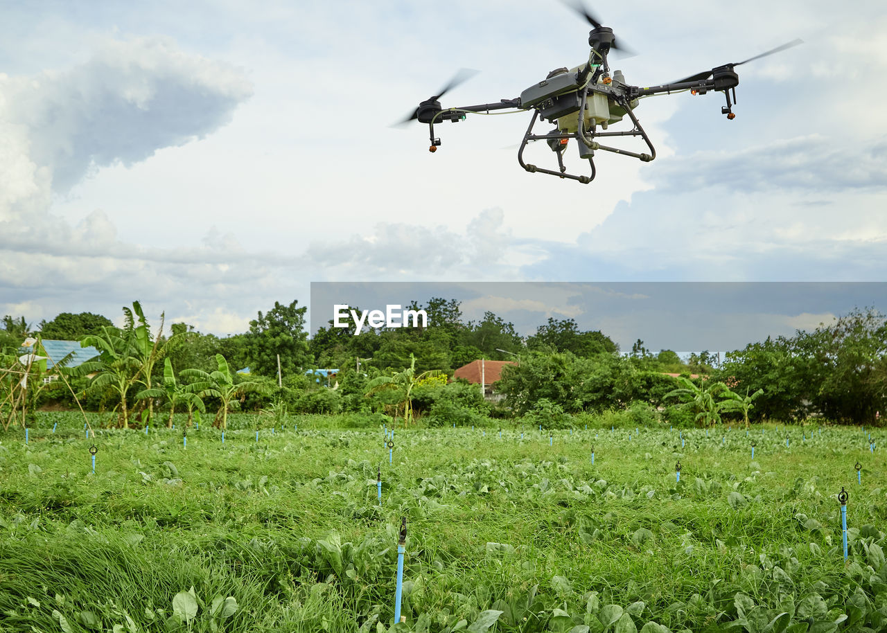 LOW ANGLE VIEW OF HELICOPTER FLYING IN FIELD