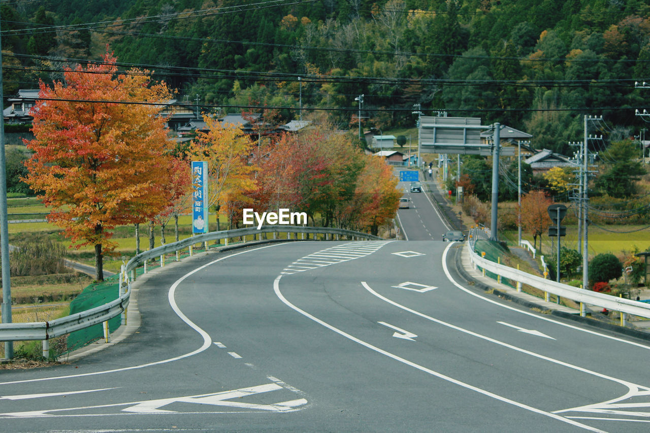 ROAD AMIDST TREES DURING AUTUMN