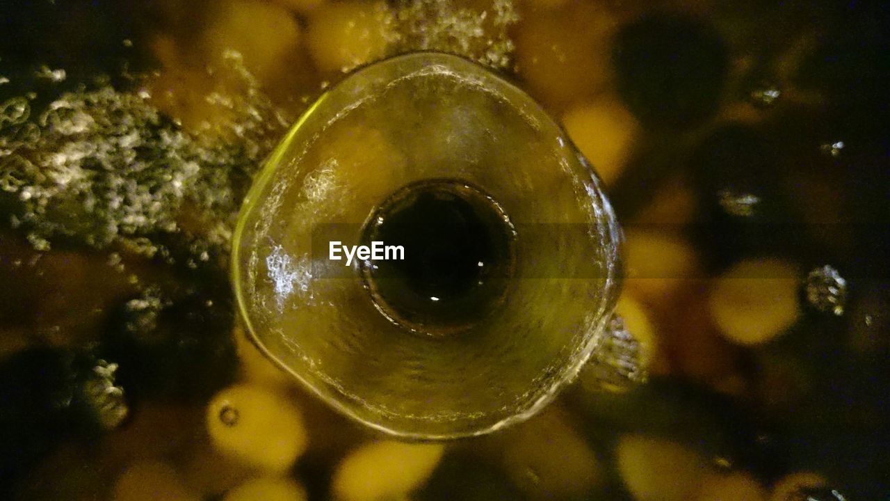 CLOSE-UP OF WATER DROPS ON LEAF