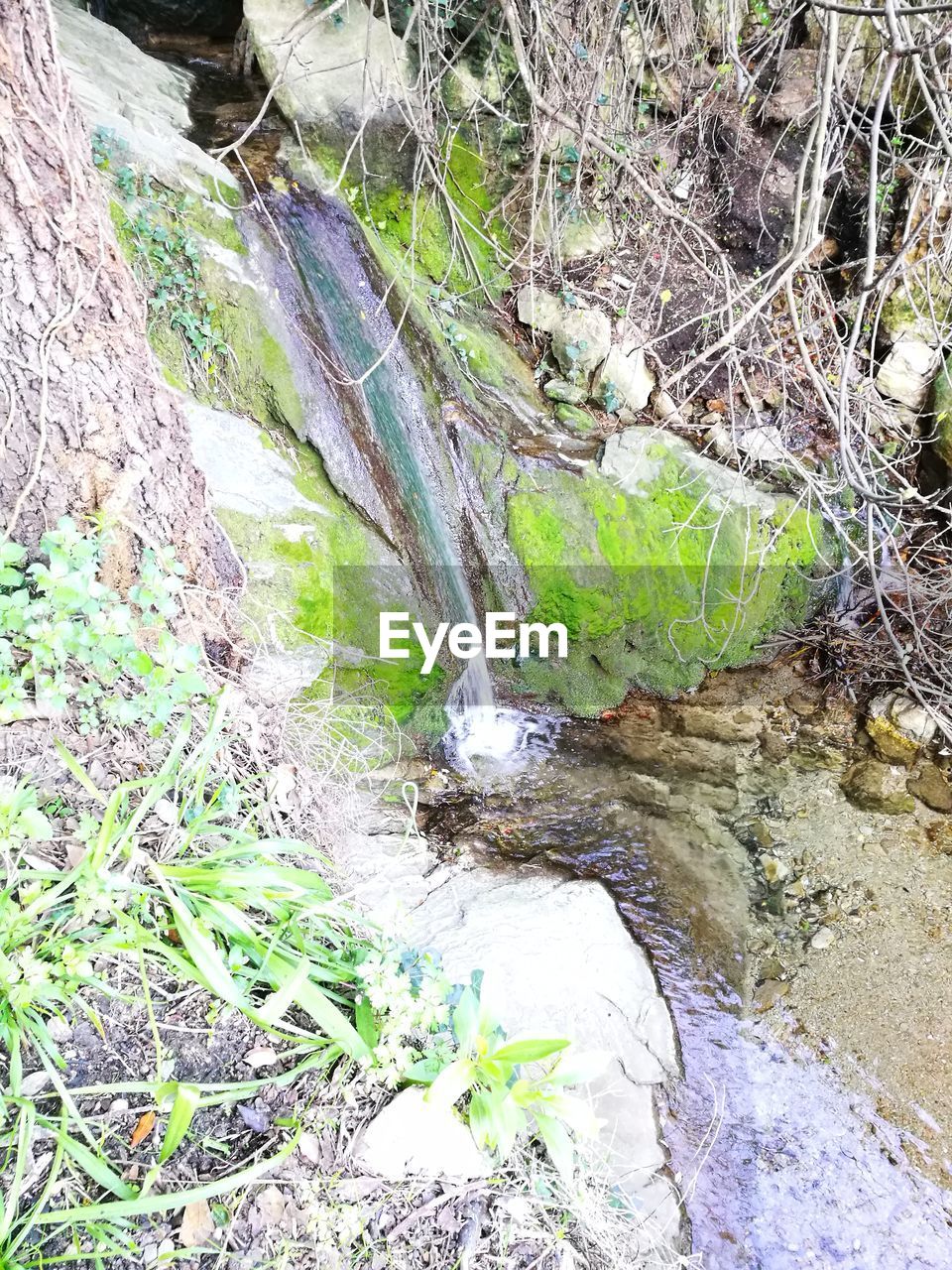 CLOSE-UP OF WATER FLOWING IN SUNLIGHT