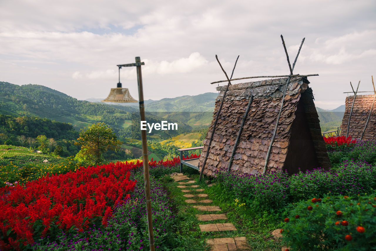 windmill, environment, nature, sky, landscape, rural area, flower, plant, environmental conservation, architecture, cloud, beauty in nature, rural scene, land, mountain, agriculture, built structure, flowering plant, wind turbine, scenics - nature, no people, building, travel destinations, field, wind power, travel, turbine, outdoors, renewable energy, building exterior, power generation, tourism, history, growth, social issues, tranquility, alternative energy, village, crop, the past, non-urban scene, religion, house, day, tradition