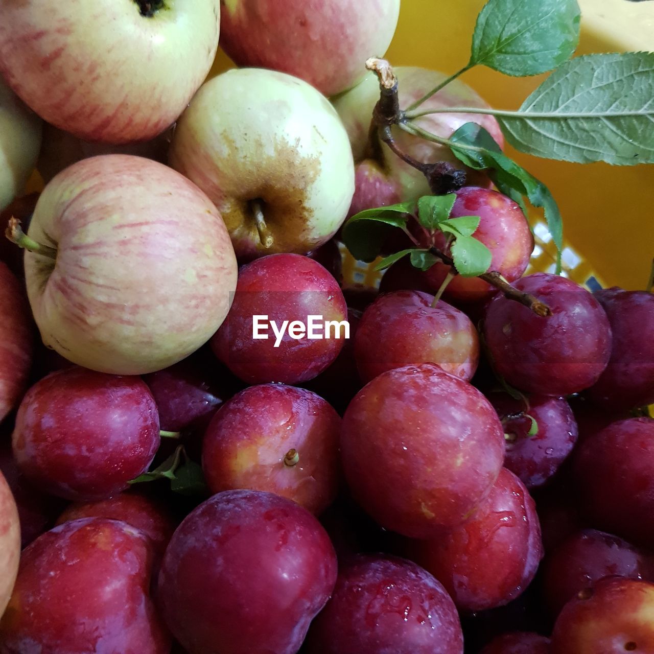 FULL FRAME SHOT OF FRUITS FOR SALE