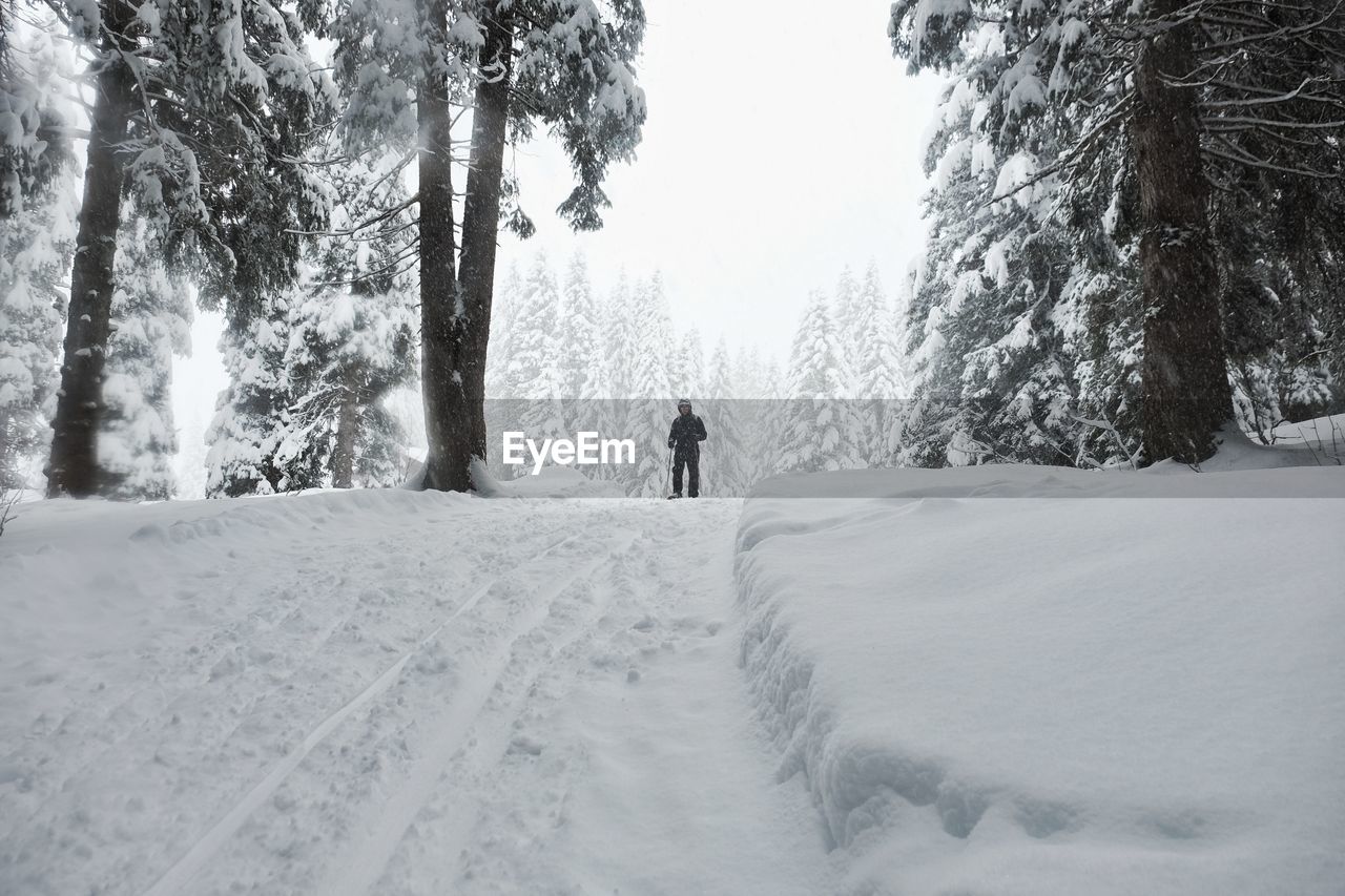 MAN IN SNOW COVERED TREES
