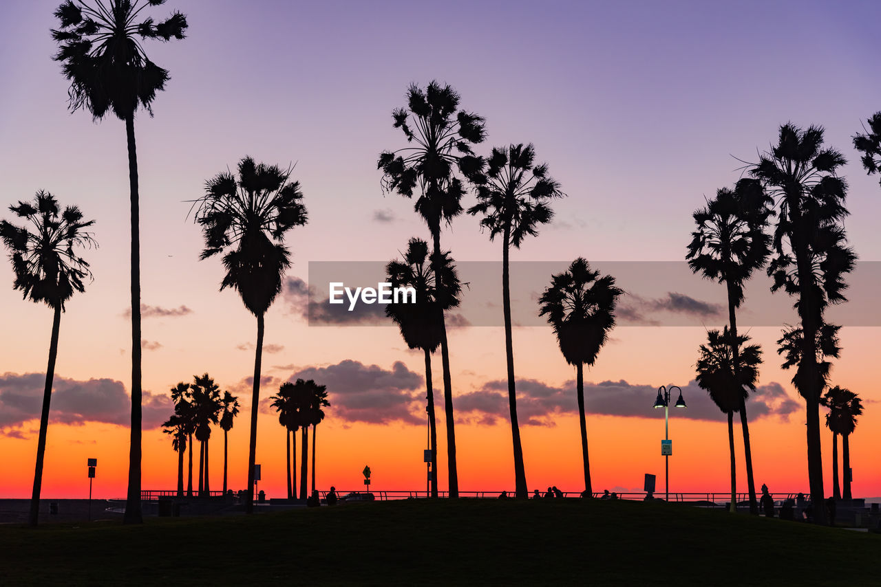 SILHOUETTE PALM TREES AGAINST SKY AT SUNSET