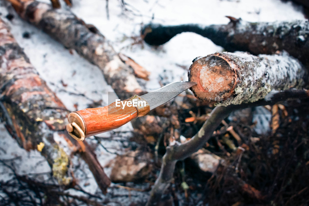 Knife pierced into wooden log in winter forest