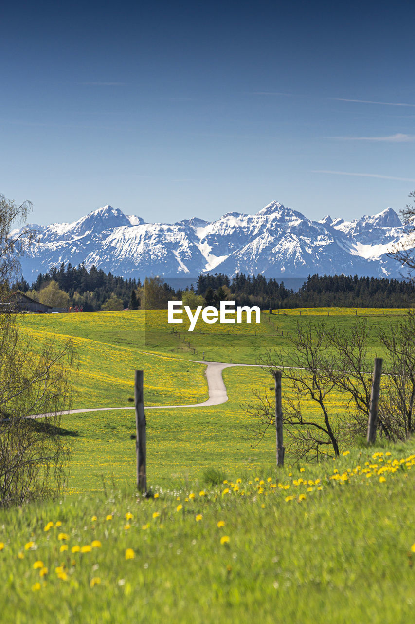 SCENIC VIEW OF FIELD DURING WINTER