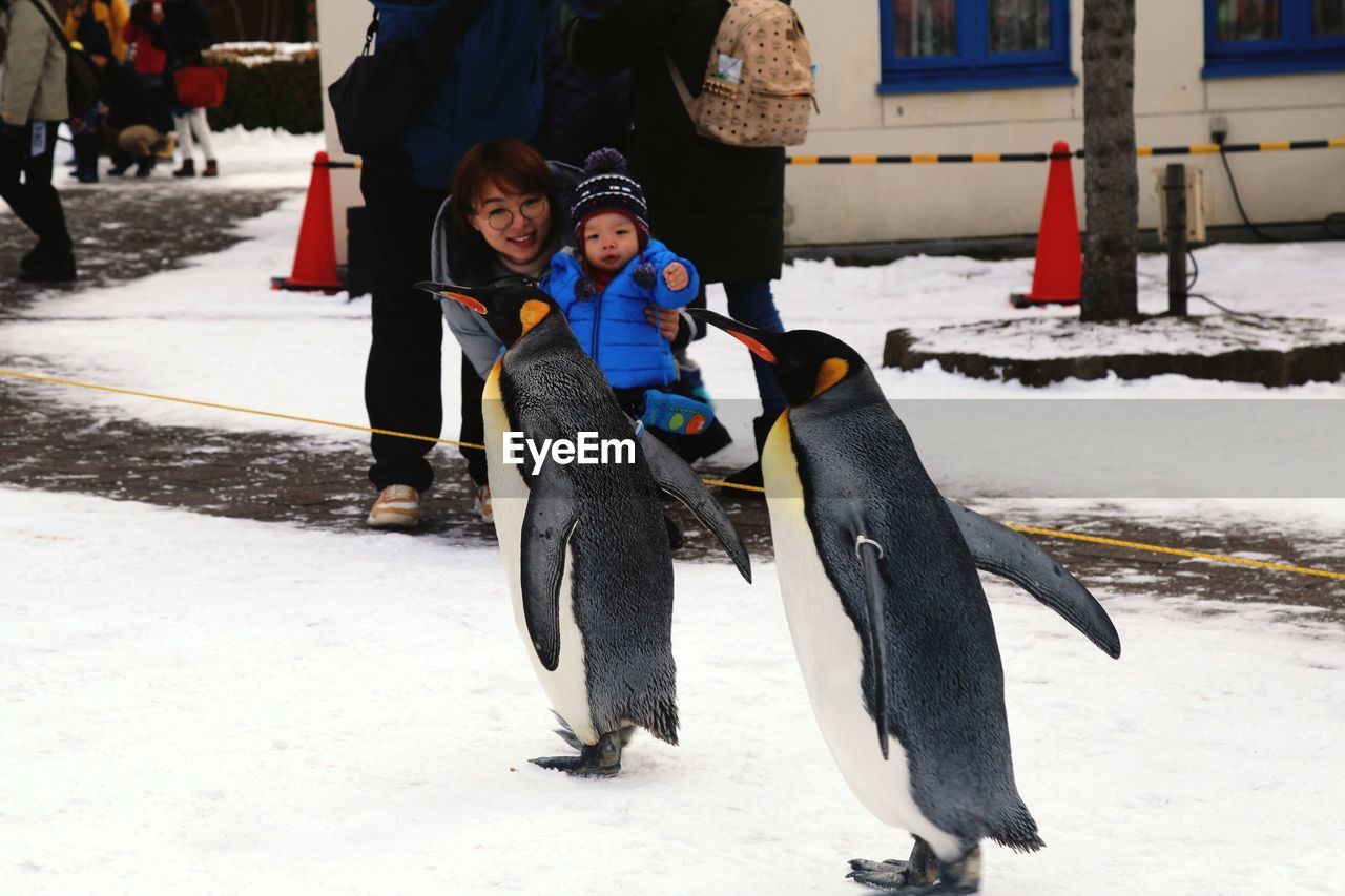 Mother and son looking at penguin walking on snow