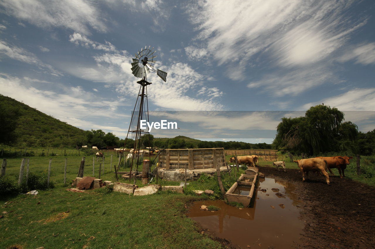 SCENIC VIEW OF FARM AGAINST SKY