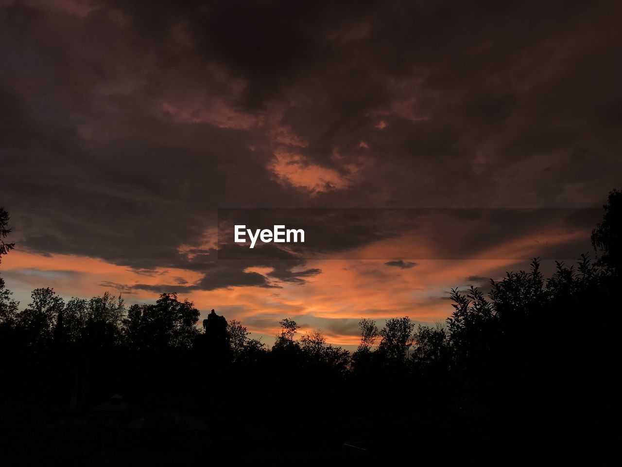 LOW ANGLE VIEW OF SILHOUETTE TREES AGAINST DRAMATIC SKY DURING SUNSET