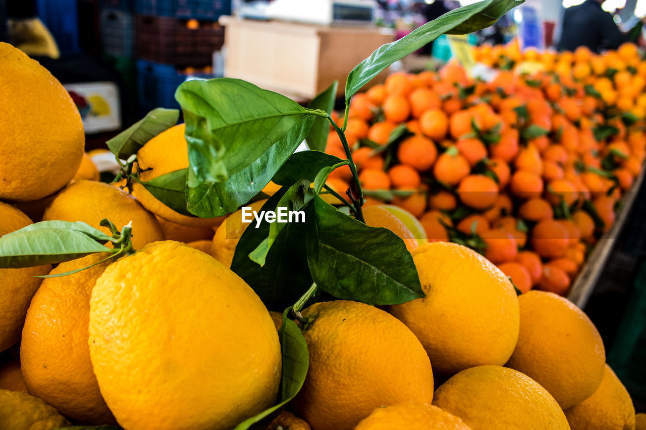 close-up of oranges on table