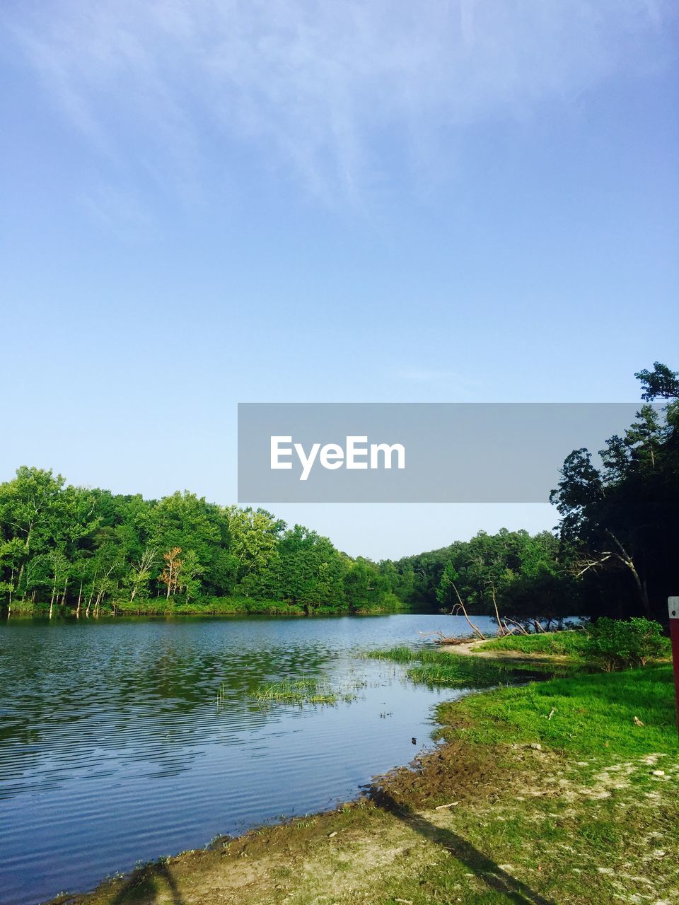 SCENIC VIEW OF LAKE AND TREES AGAINST CLEAR SKY