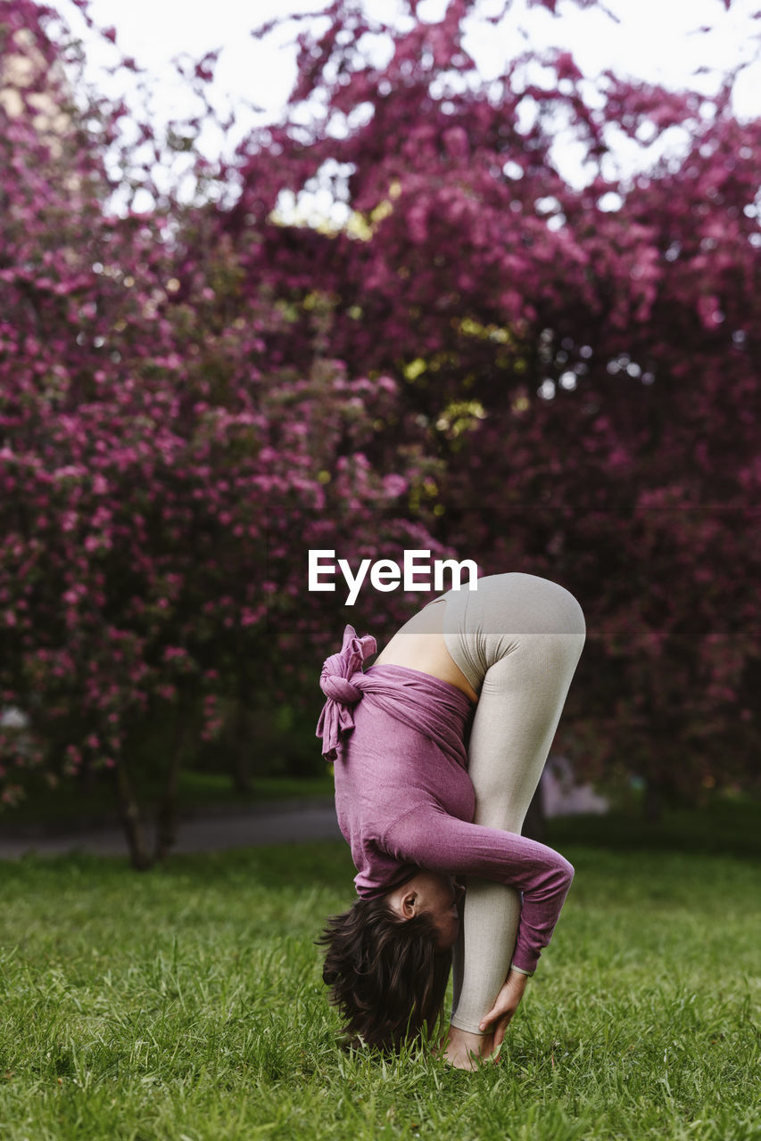 Woman practicing uttanasana in front of apple blossom trees