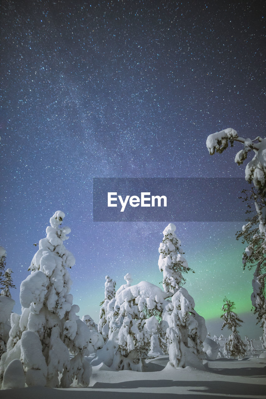 Scenic view of snow covered land against sky during aurora borealis