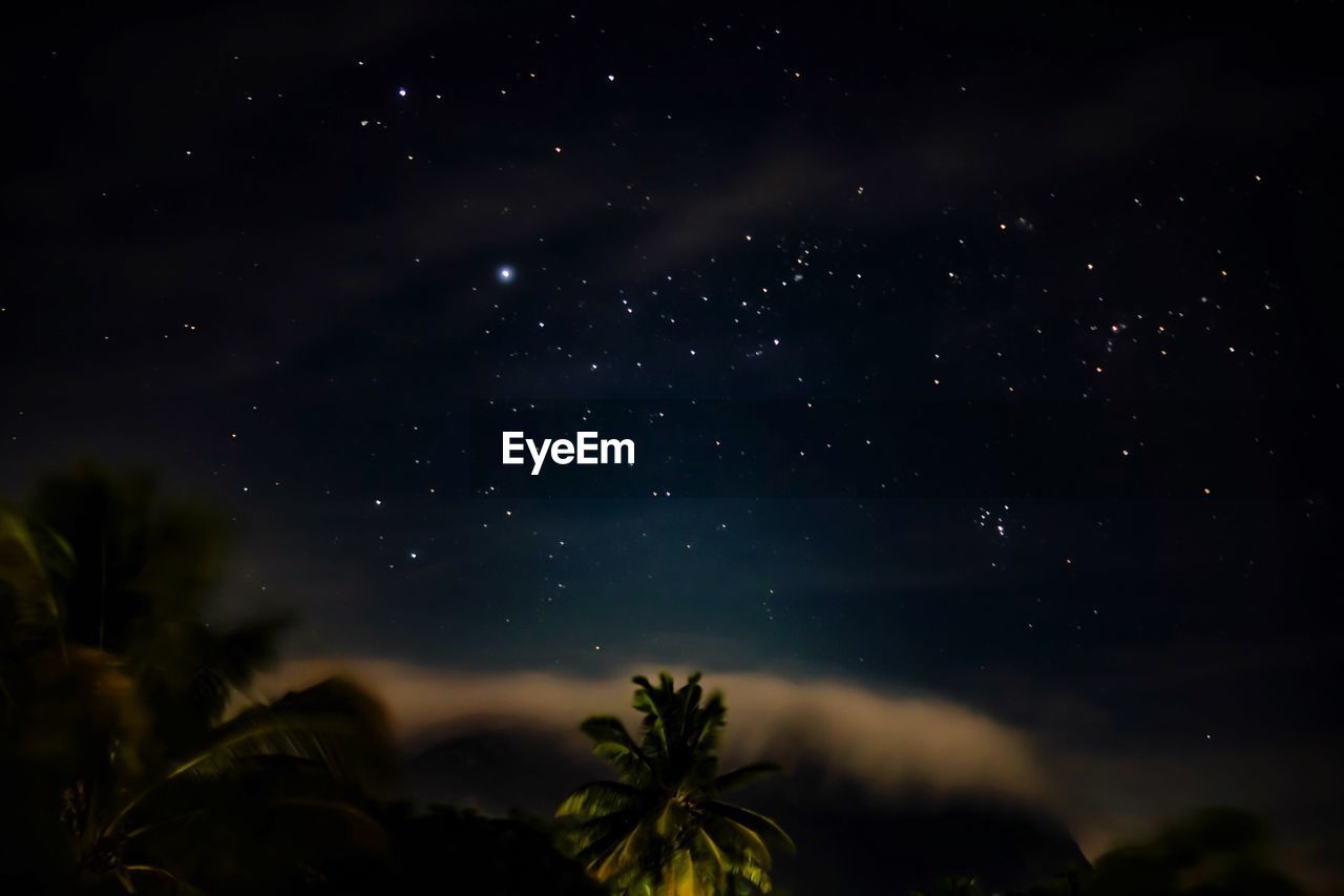 LOW ANGLE VIEW OF SILHOUETTE TREE AGAINST STAR FIELD AT NIGHT