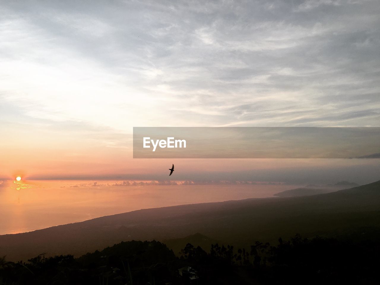 Silhouette bird flying over landscape against sky