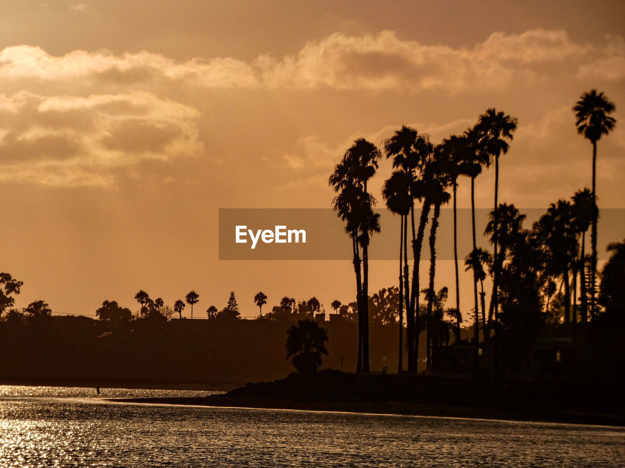 Silhouette palm trees by lake against sky during sunset