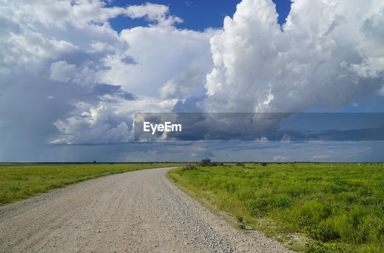 cloud, sky, horizon, landscape, environment, road, nature, land, plain, prairie, field, grassland, scenics - nature, beauty in nature, grass, transportation, plant, the way forward, no people, rural area, cloudscape, blue, travel, horizon over land, day, outdoors, rural scene, hill, vanishing point, non-urban scene, tranquility, steppe, travel destinations, dramatic sky, diminishing perspective, natural environment, green, tranquil scene, dirt road, water, sea, dirt, coast, tourism, urban skyline, sunlight