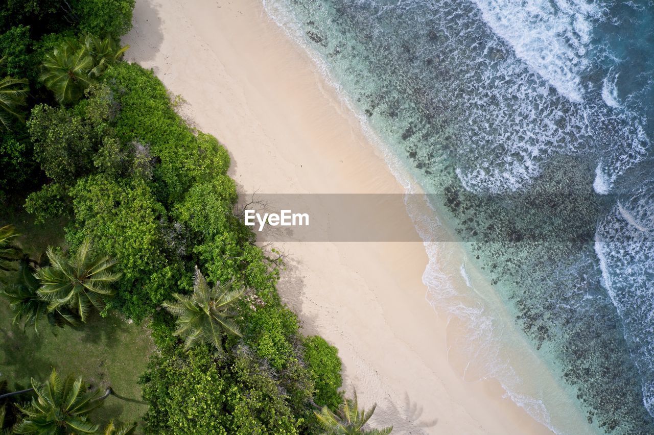 Drone field of view of waves along empty beach and forest praslin, seychelles.