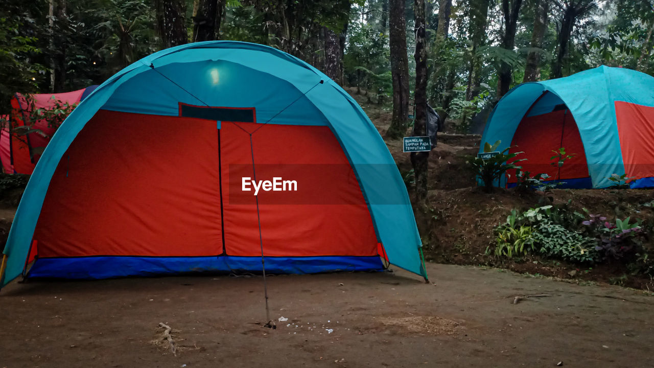 Green forest atmosphere in bogor, camping tent