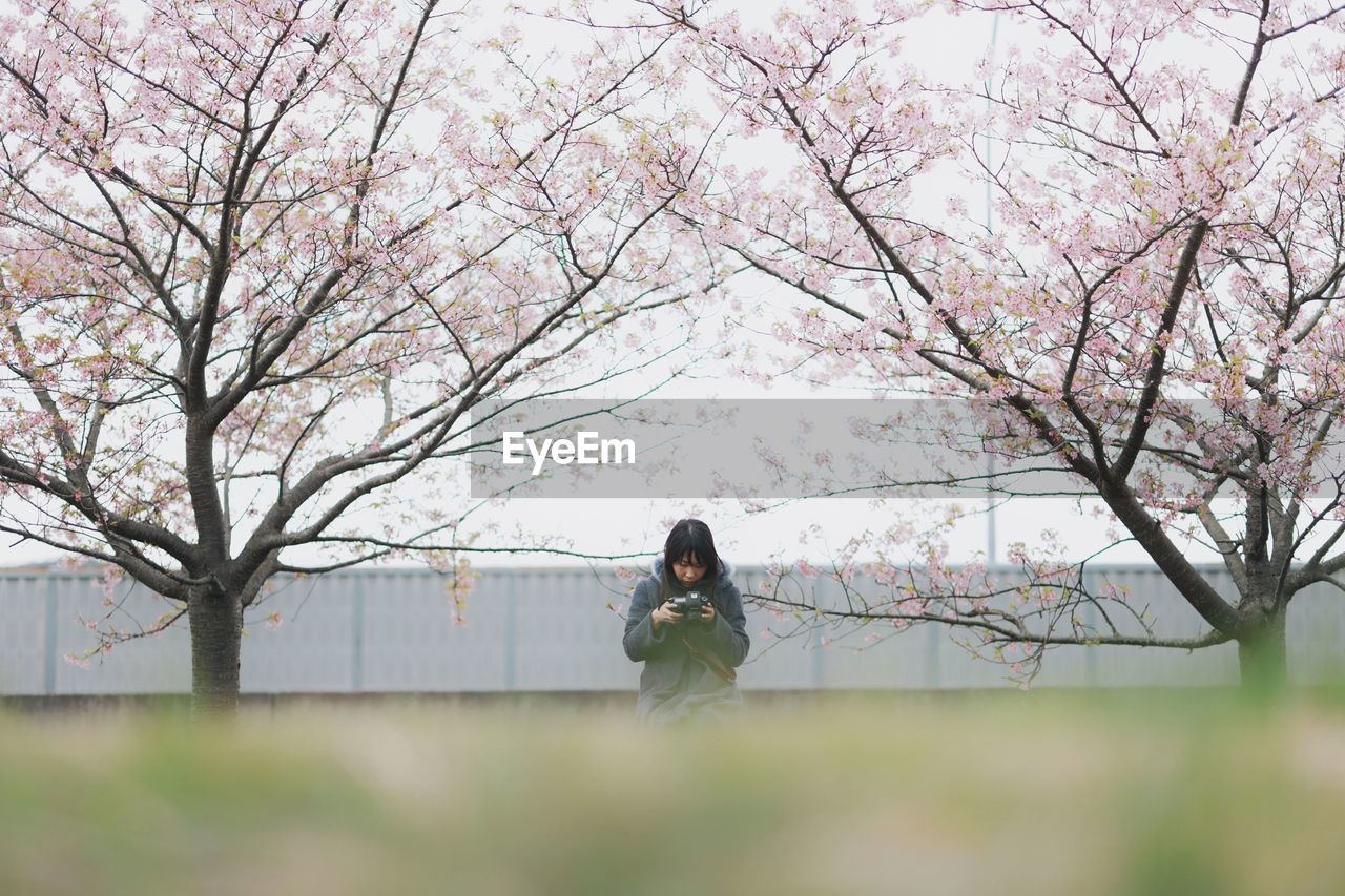 FULL LENGTH OF WOMAN ON CHERRY BLOSSOM