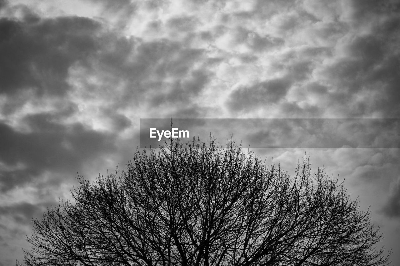 Low angle view of silhouette bare tree against sky