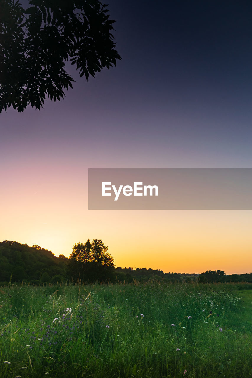 SCENIC VIEW OF FIELD AGAINST SKY AT SUNSET