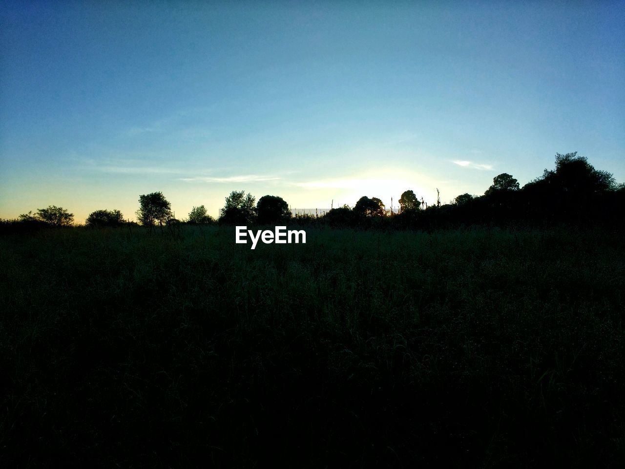 SILHOUETTE OF TREES ON LANDSCAPE AGAINST SKY